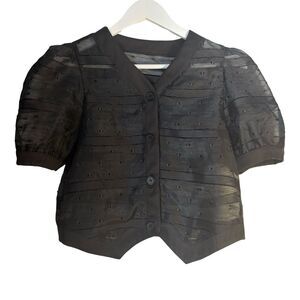 NWOT Sheer Puff-Sleeve Crop Blouse